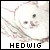 hedwig - harry potter